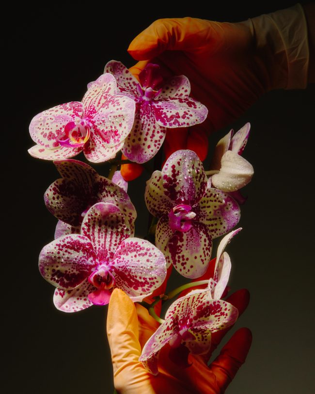 Lary-Rauh_0525_web12