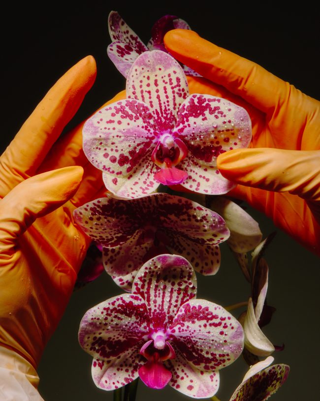 Lary-Rauh_0525_web13