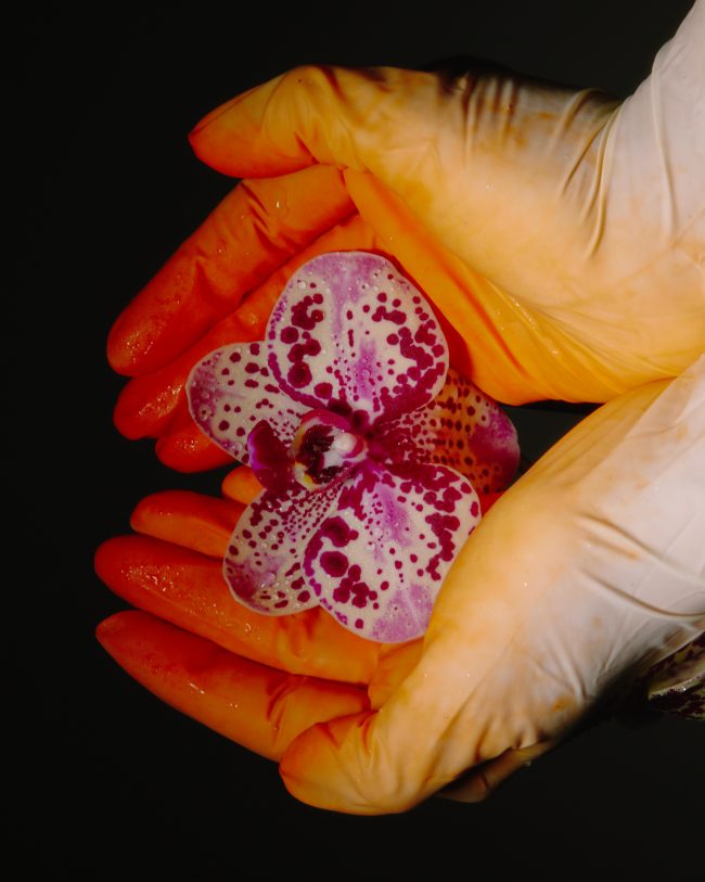 Lary-Rauh_0525_web14