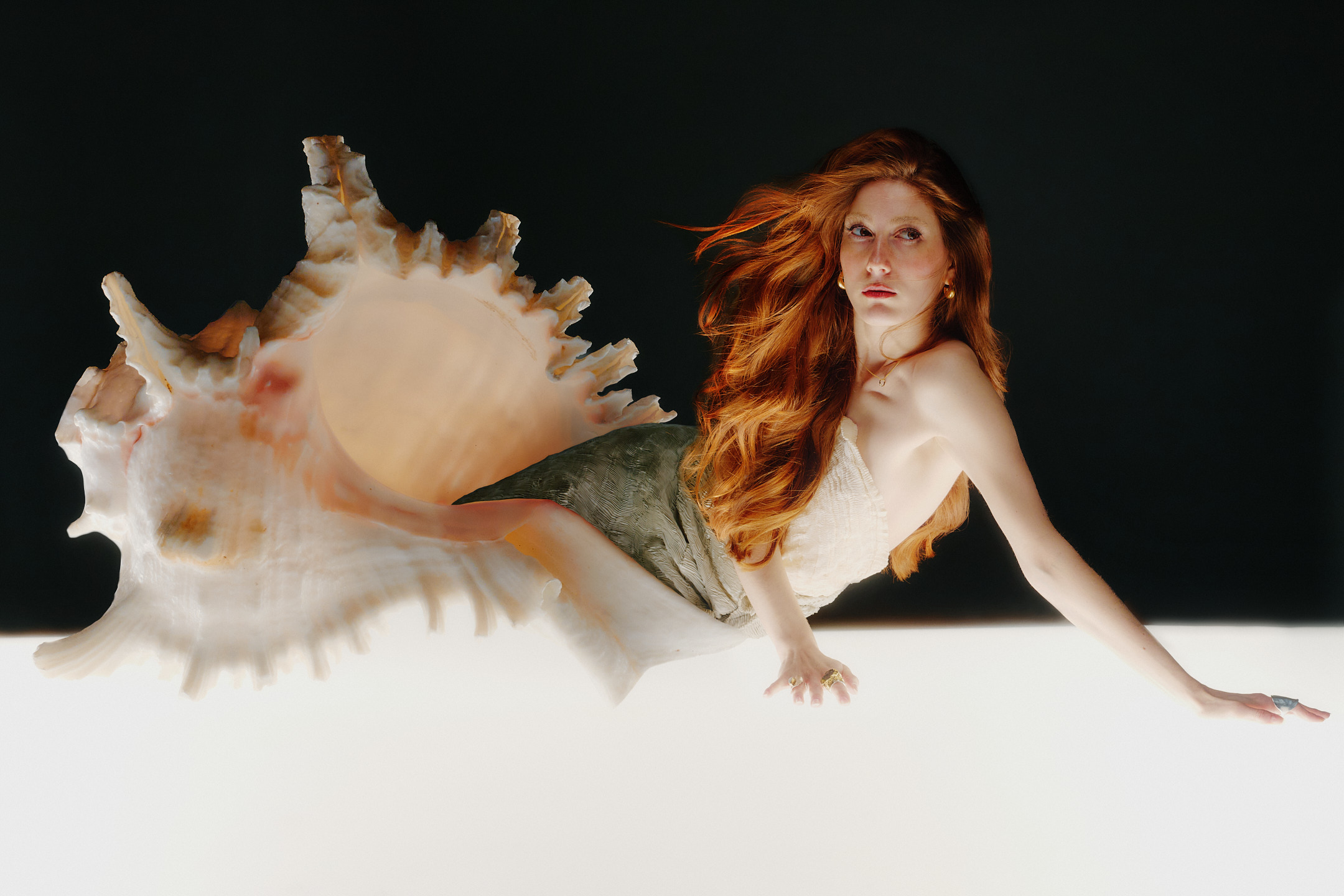 Lary-Rauh_venus-hermit_0324web-3