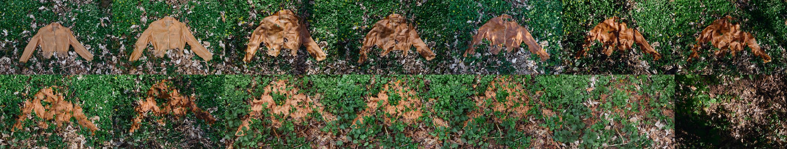 Decay_sequence_7x2_web
